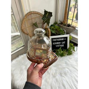 Lucite cheese tray board glass dome top lidded dried butterfly beans charcuterie